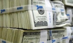 جریان وام ۵۵میلیون یورویی برای کرونا/ صندوق بین‌المللی پول کمکی نکرد!