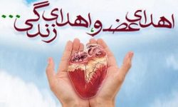 کاهش اهدا عضو همزمان با شیوع ویروس کرونا