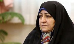 انتقاد شدید نماینده پیشین از بهارستان نشینان: طرح فرزندآوری و حیوانات خانگی مشکل مردم نیست