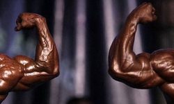 پلیس هشدار داد؛ فروش مکمل‌های بدنسازی با ترکیب شیشه