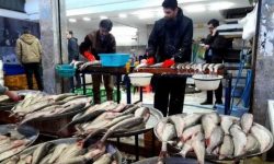 نیم کیلو ماهی ۱۸۹ هزار تومان/‌ تازه‌ترین قیمت انواع ماهی در بازار تهران