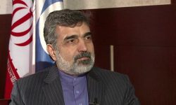 جزئیات نصب دوربین‌های آژانس در مجتمع تسای کرج اعلام شد