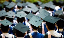 بیکارترین و پرکارترین رشته‌های دانشگاهی کدامند؟