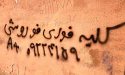 از تهران تا بغداد؛ سفر برای فروش گران‌تر «کلیه»/ قیمت: ۱۵۰ تا ۳۰۰ میلیون تومان