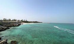چه شد که متصرفان دولتی ماست‌ها را کیسه کردند؟