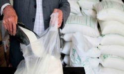 شکر رکورد گرانی را شکست