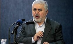 دارابی:بوشهر ظرفیت کریدور موزهای کشور را دارد