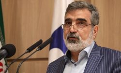 توضیح کمالوندی درباره سفر گروسی به ایران