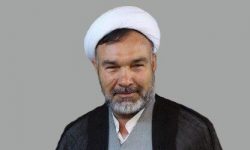 سبحانی‌نیا فعال سیاسی : نیروهای پایداری در دولت نفوذ گسترده دارند