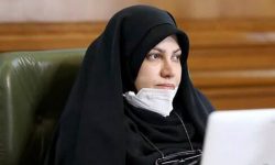 عضو شورای شهر: تهرانی‌ها بیشتر از سایر هموطنان در معرض بیماری روانی هستند