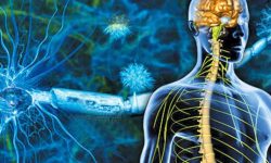 عوامل تشدید کننده بیماری ام اس چیست؟