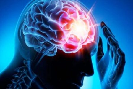 حقایقی تازه درباره‌ مغز انسان