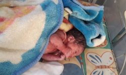 رها کردن یک نوزاد دختر مقابل شیرخوارگاه آمنه