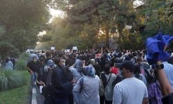 عضو هیات علم دانشگاه پلیس: نمی فهمم چرا عده ای می گویند اینهایی که کف خیابانند مردم نیستند/ آنها مردم اند و زندگی می خواهند