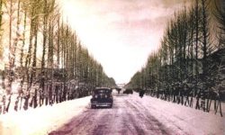 قدیمی‌ترین دیوار حفاظتی که دور تهران کشیده شد/ عکس
