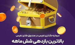 صندوق طلای نفیس، رتبه اول بازدهی را در بین صندوق‌های طلا کسب کرد