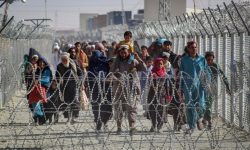 می‌خواهند محقق نشدن وعده‌های اقتصادی را گردن مهاجران بیندازند/ در این موج مهاجرهراسی مردم مقصر نیستد