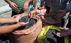 اختلاف وزارت بهداشت با پلیس سر خوردن تخمه شور!