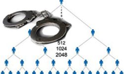 هشدار به پایتخت نشینان؛ تهران رکورددار بیشترین فعالیت شرکت‌های هرمی