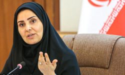 نمایندگان استیضاح کننده وزیر راه و شهرسازی، گناه همه سازمانها و وزارتخانه ها را گردن خانم فرزانه صادق انداخته اند