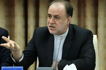 حاجی بابایی: بسیاری از خبرنگاران صورت خود را با سیلی سرخ نگه داشته اند و حتی بیمه ندارند/ باید به مسائل اهالی رسانه و خبرنگاران توجه اورژانسی شود