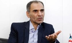 استاد اقتصاد دانشگاه امام صادق: به خاطر دورزدن تحریم به نهادهای غیررسمی متوسل شده ایم که سوءاستفاده های کلان می کنند