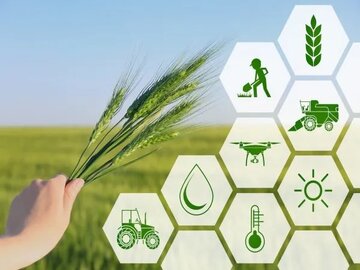اعلام ضریب امنیت غذایی در ایران/ چقدر از مواد غذایی مورد نیاز در ایران تولید می‌شود؟