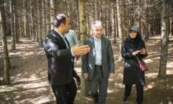 بازدید معاون گردشگری از روستای شانه‌تراش؛ از دریای ابر تا هنر شانه چوبی
