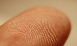 آیا هکرها می‌توانند از روی عکس، اثر انگشت شما را سرقت کنند؟